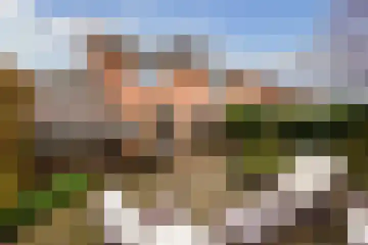Nijmansbos 17 Enschede thumbnail 20