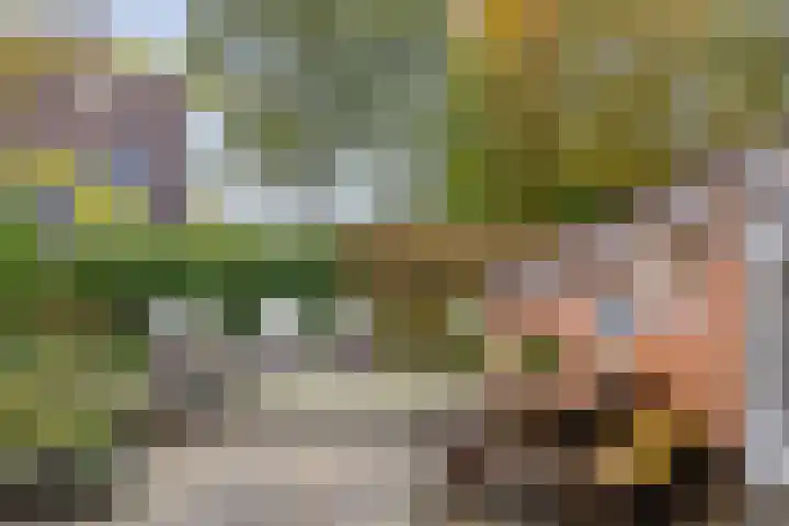 Nijmansbos 17 Enschede thumbnail 21