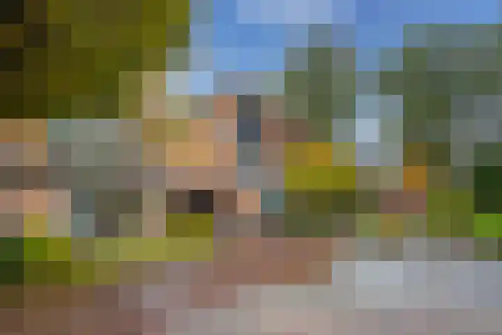 Nijmansbos 17 Enschede thumbnail 23