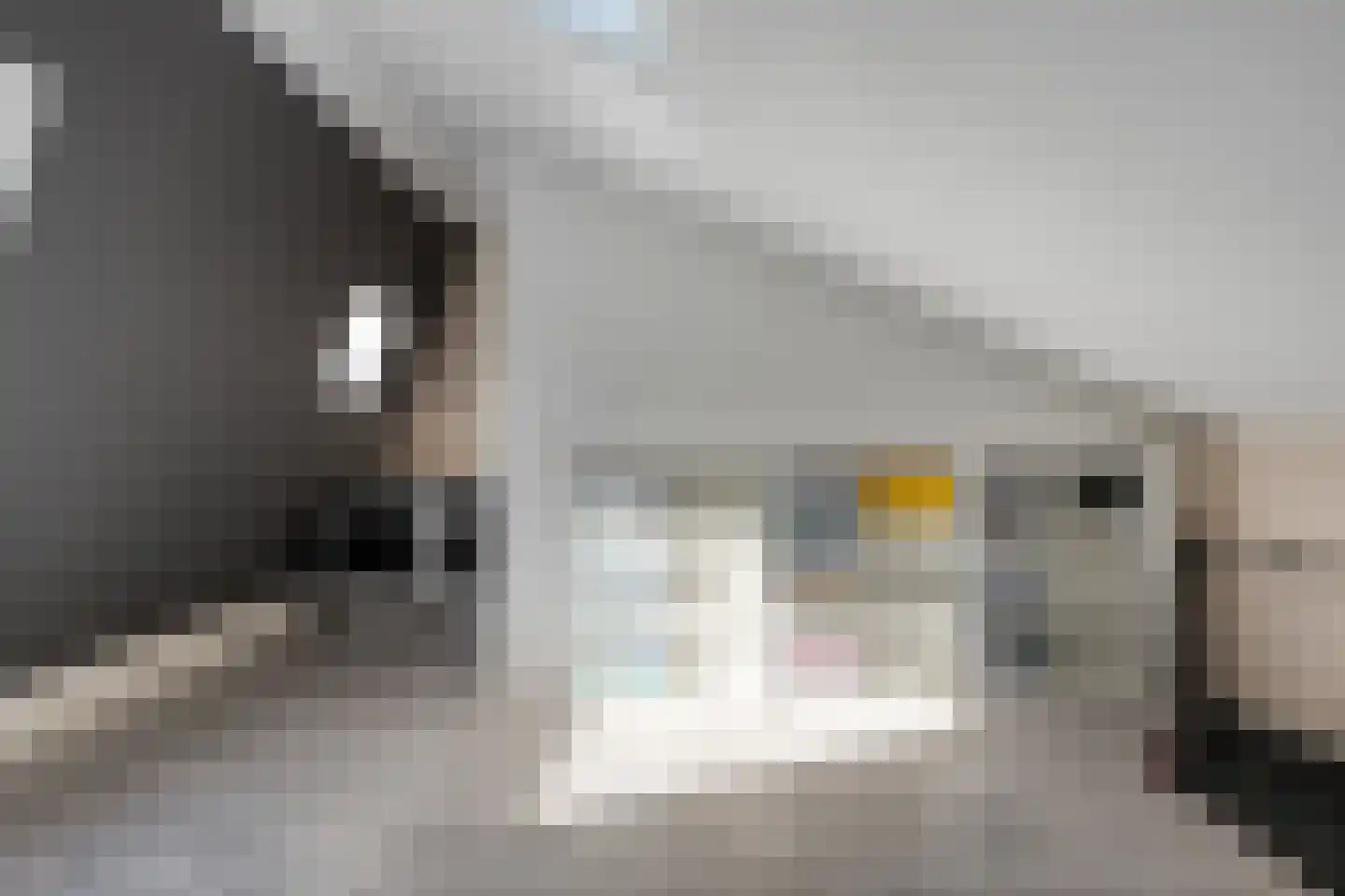 Nijmansbos 28 Enschede thumbnail 34