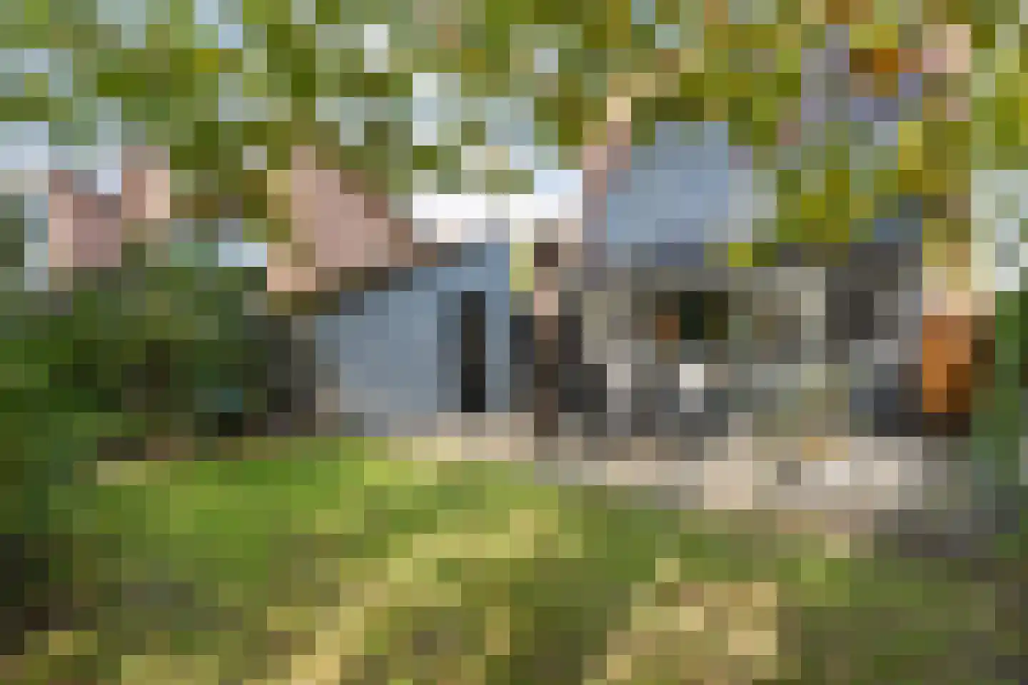 Nijmansbos 28 Enschede thumbnail 35