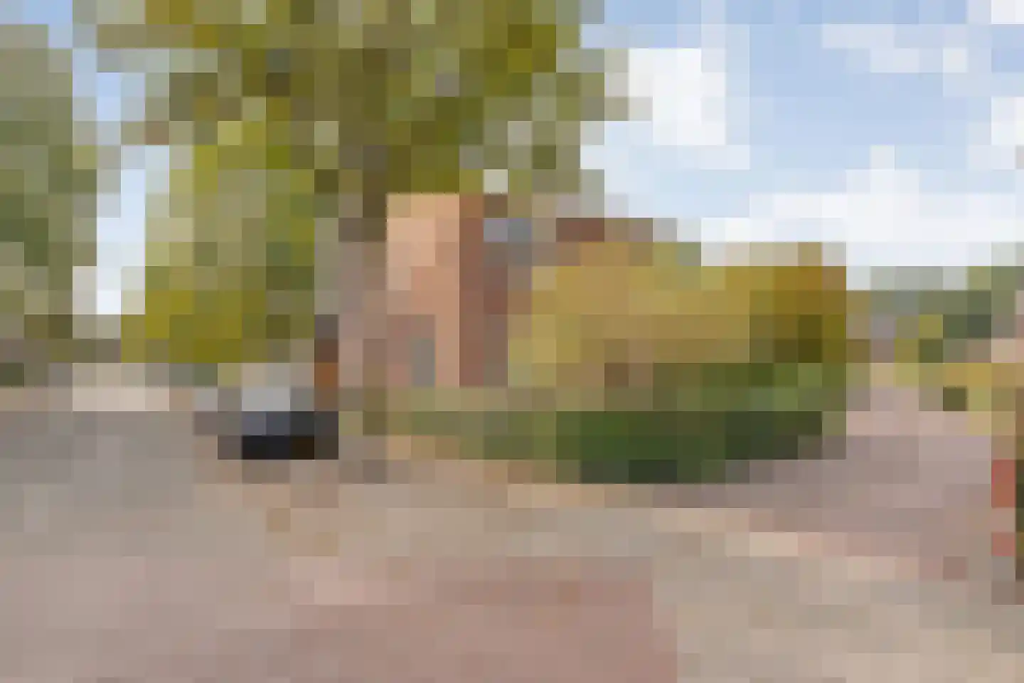 Nijmansbos 28 Enschede thumbnail 46