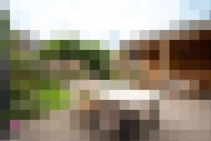 Nijmansbos 61 Enschede thumbnail 26