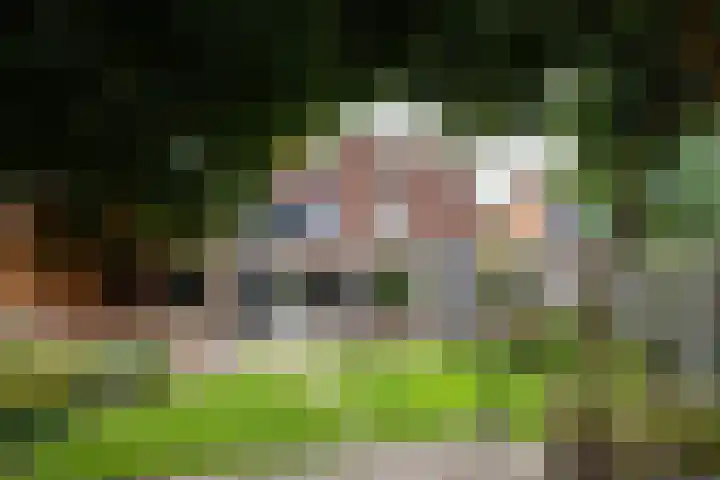 Nijmansbos 61 Enschede thumbnail 29