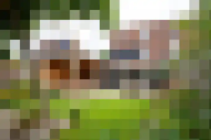 Nijmansbos 61 Enschede thumbnail 30