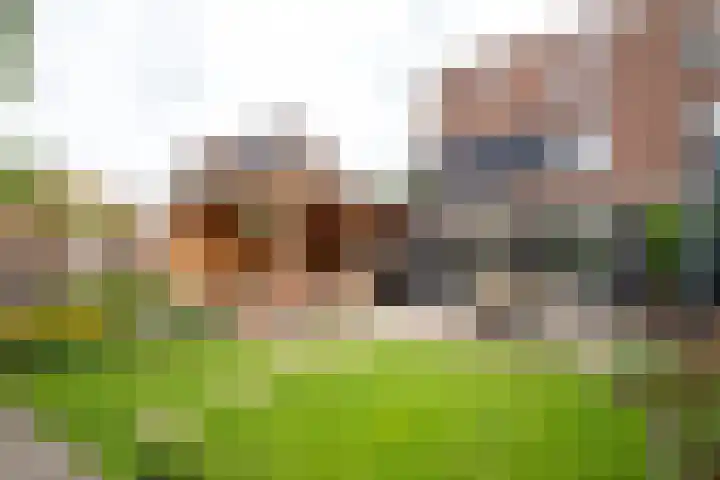 Nijmansbos 61 Enschede thumbnail 31