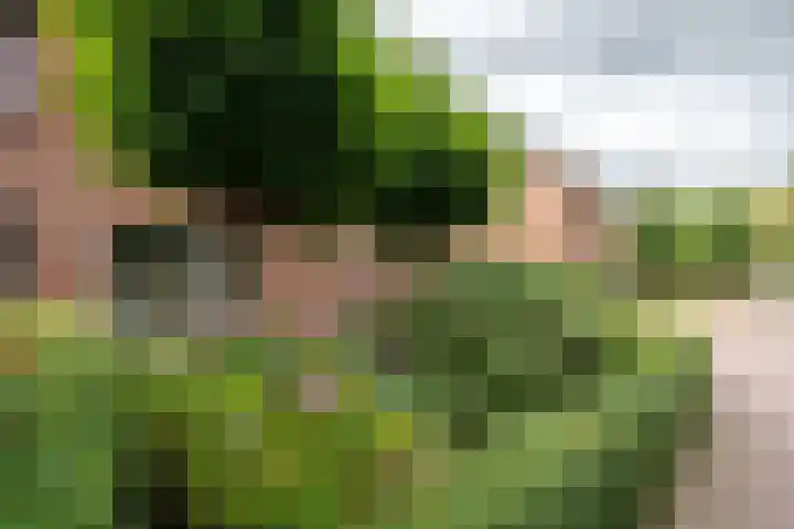 Nijmansbos 61 Enschede thumbnail 34