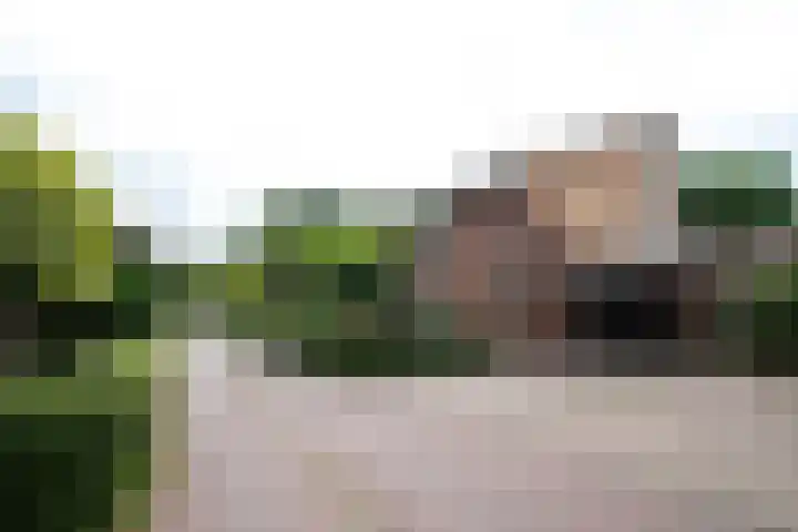 Nijmansbos 61 Enschede thumbnail 35
