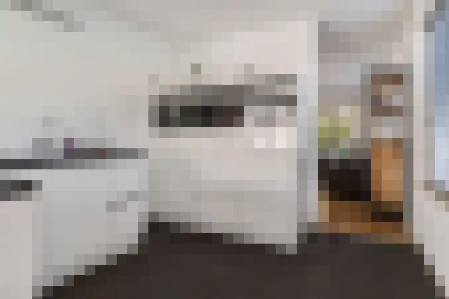 Nijmansbos 62 Enschede thumbnail 15