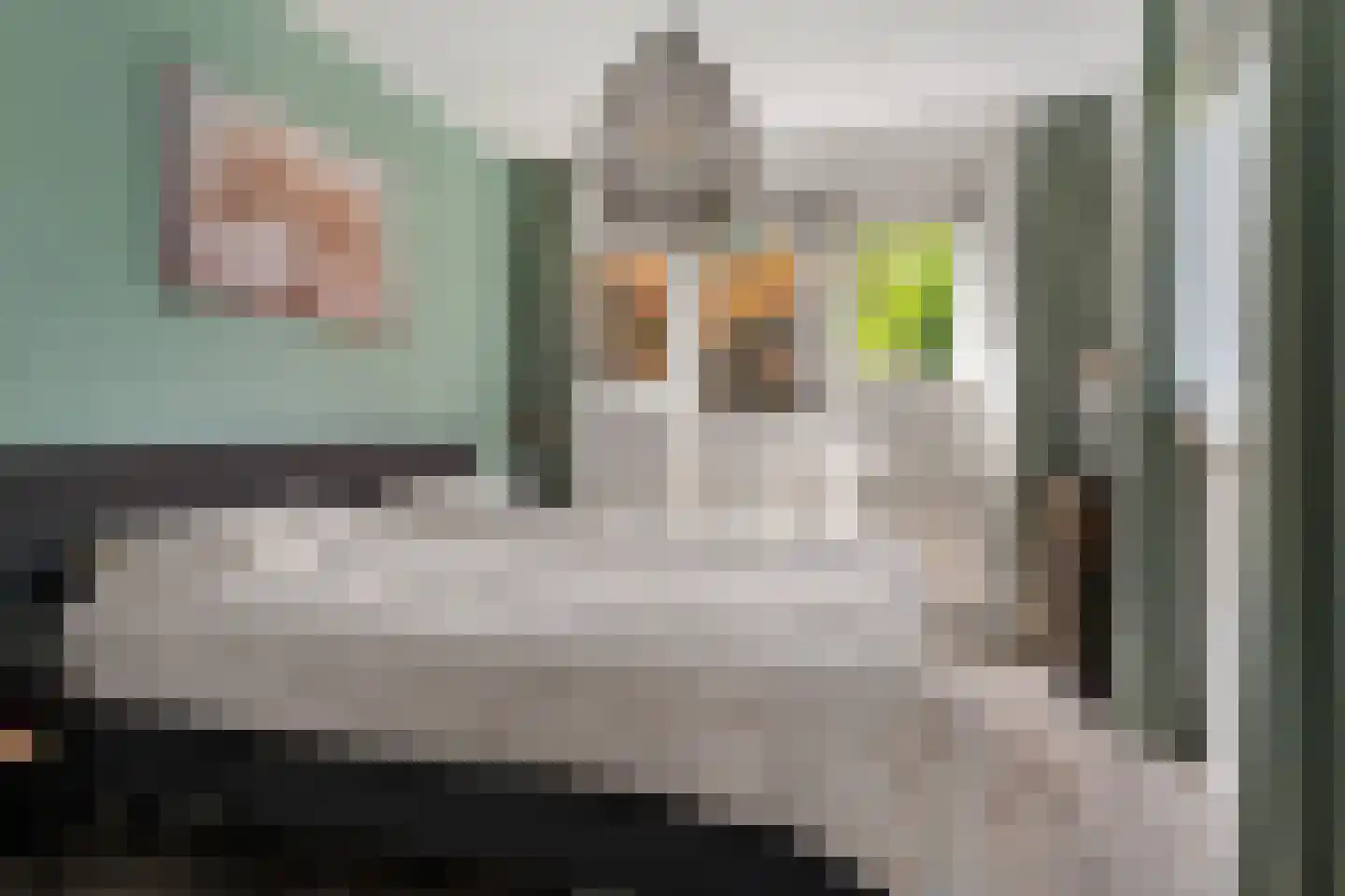 Nijmansbos 62 Enschede thumbnail 23