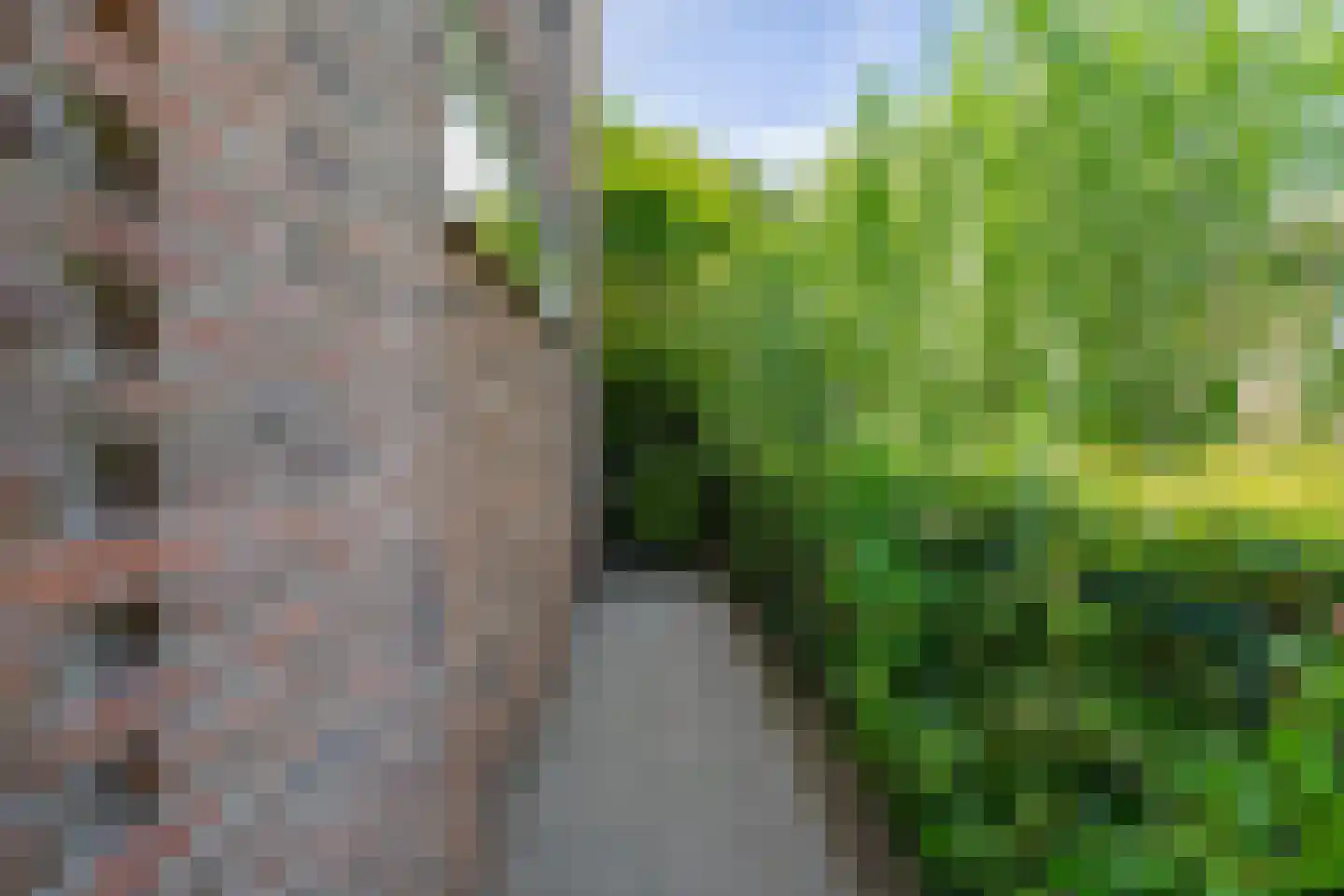 Nijmansbos 62 Enschede thumbnail 36