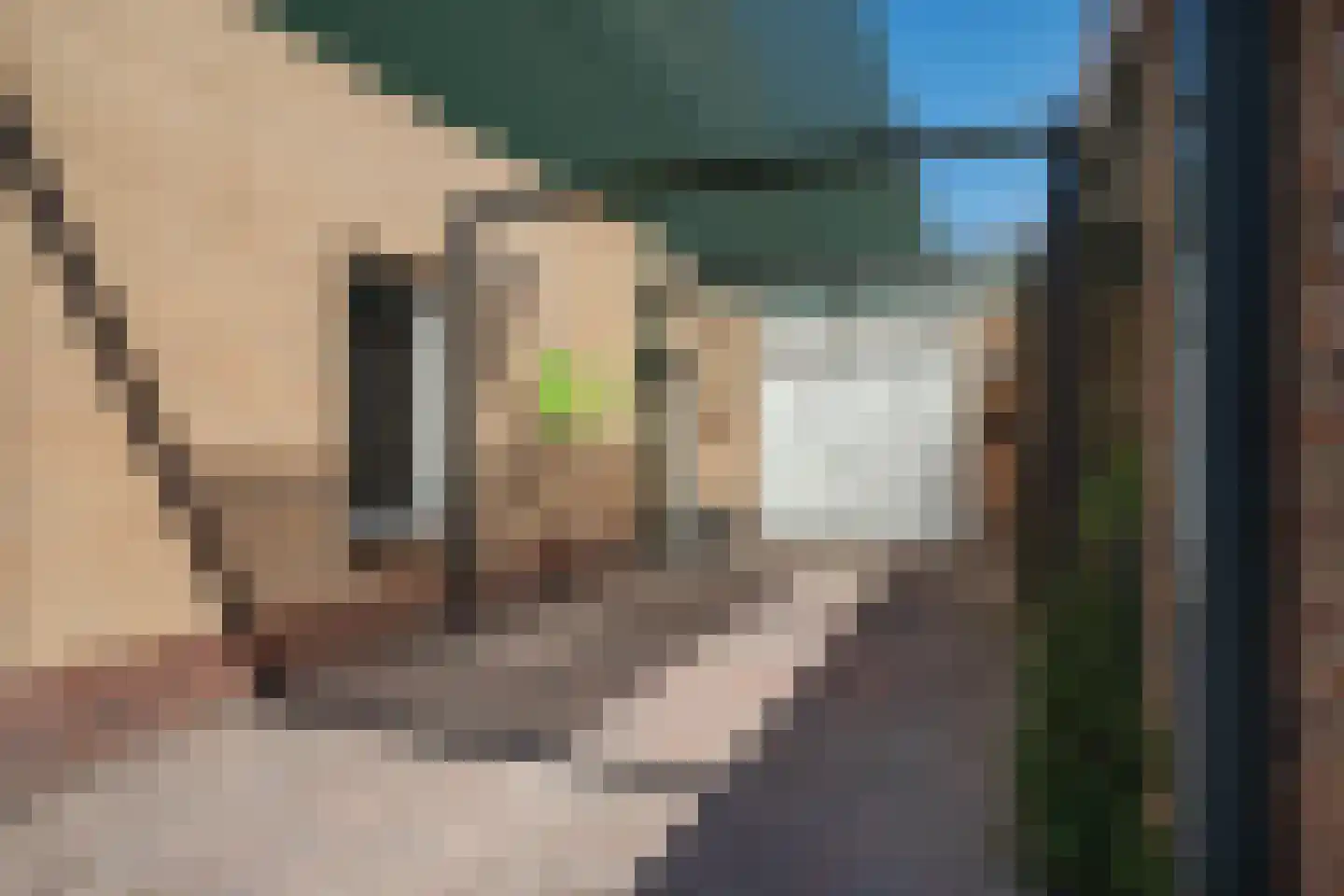 Nijmansbos 62 Enschede thumbnail 8