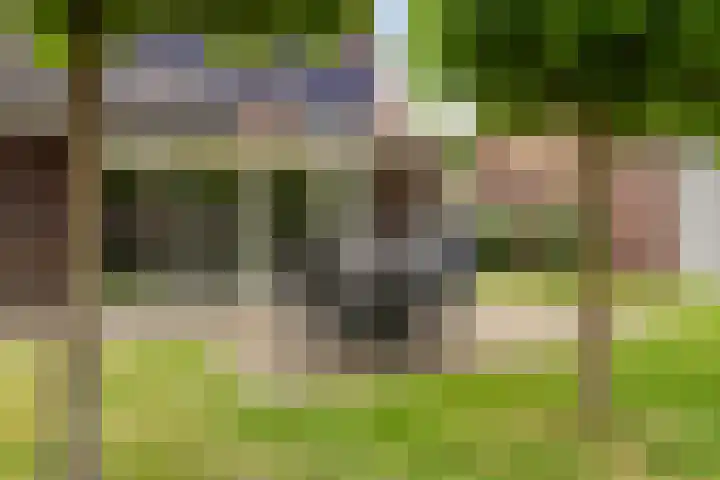 Nijmansbos 63 Enschede thumbnail 28