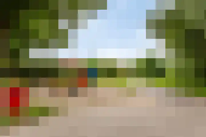 Nijmansbos 63 Enschede thumbnail 31