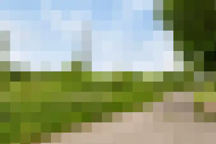 Nijmansbos 63 Enschede thumbnail 32