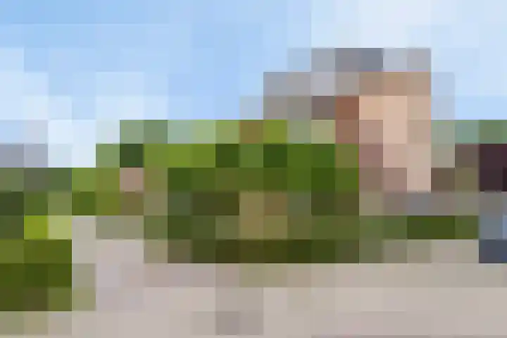 Nijmansbos 63 Enschede thumbnail 4