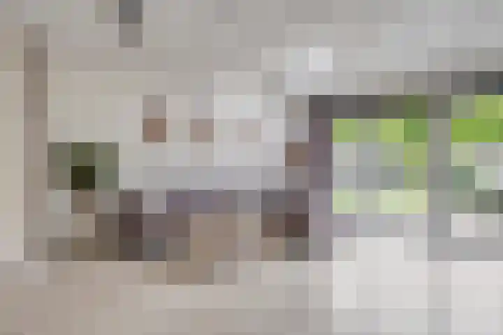 Nijmansbos 63 Enschede thumbnail 9