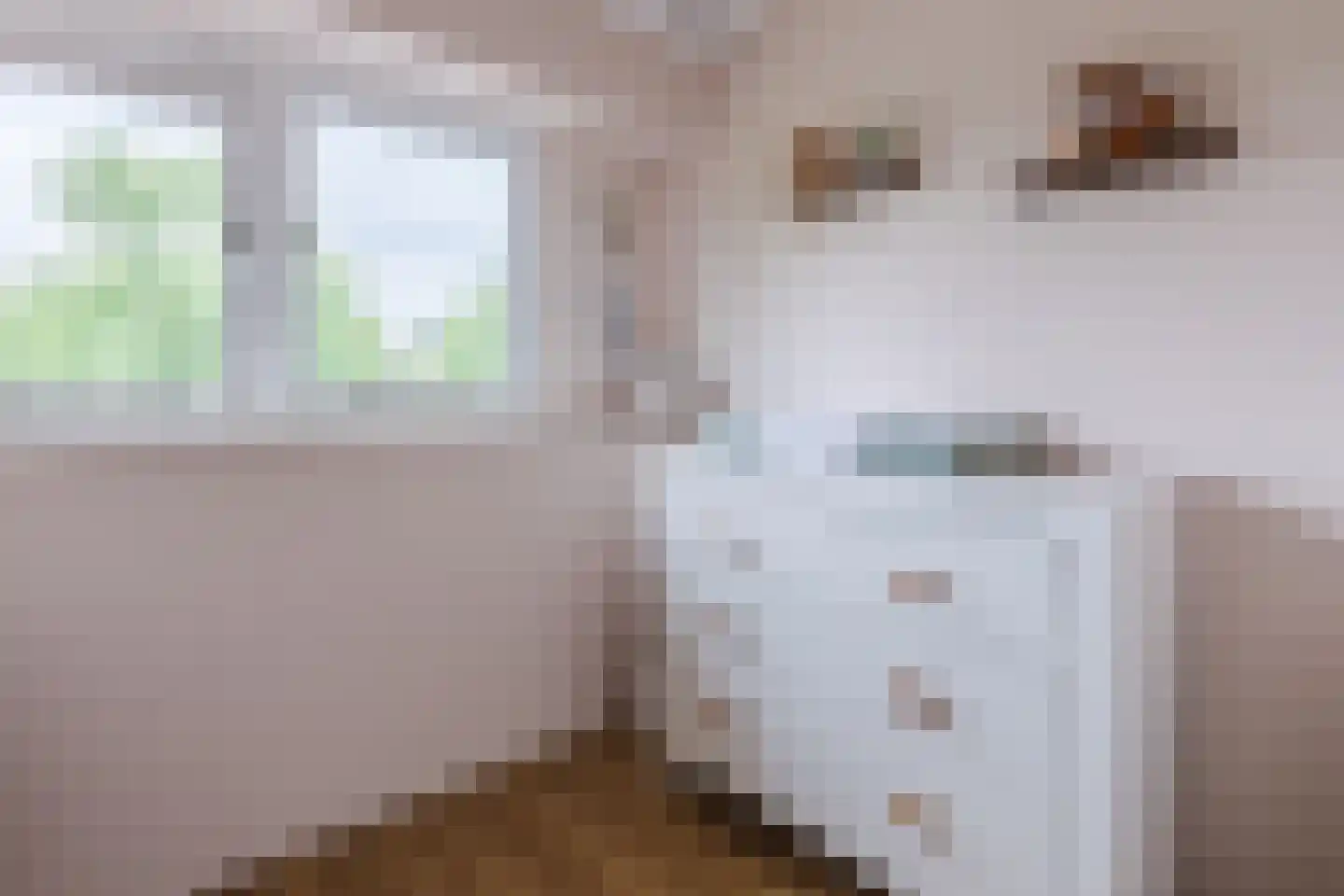 Nijmeegse Kapelstraat 4 Nijmegen thumbnail 18
