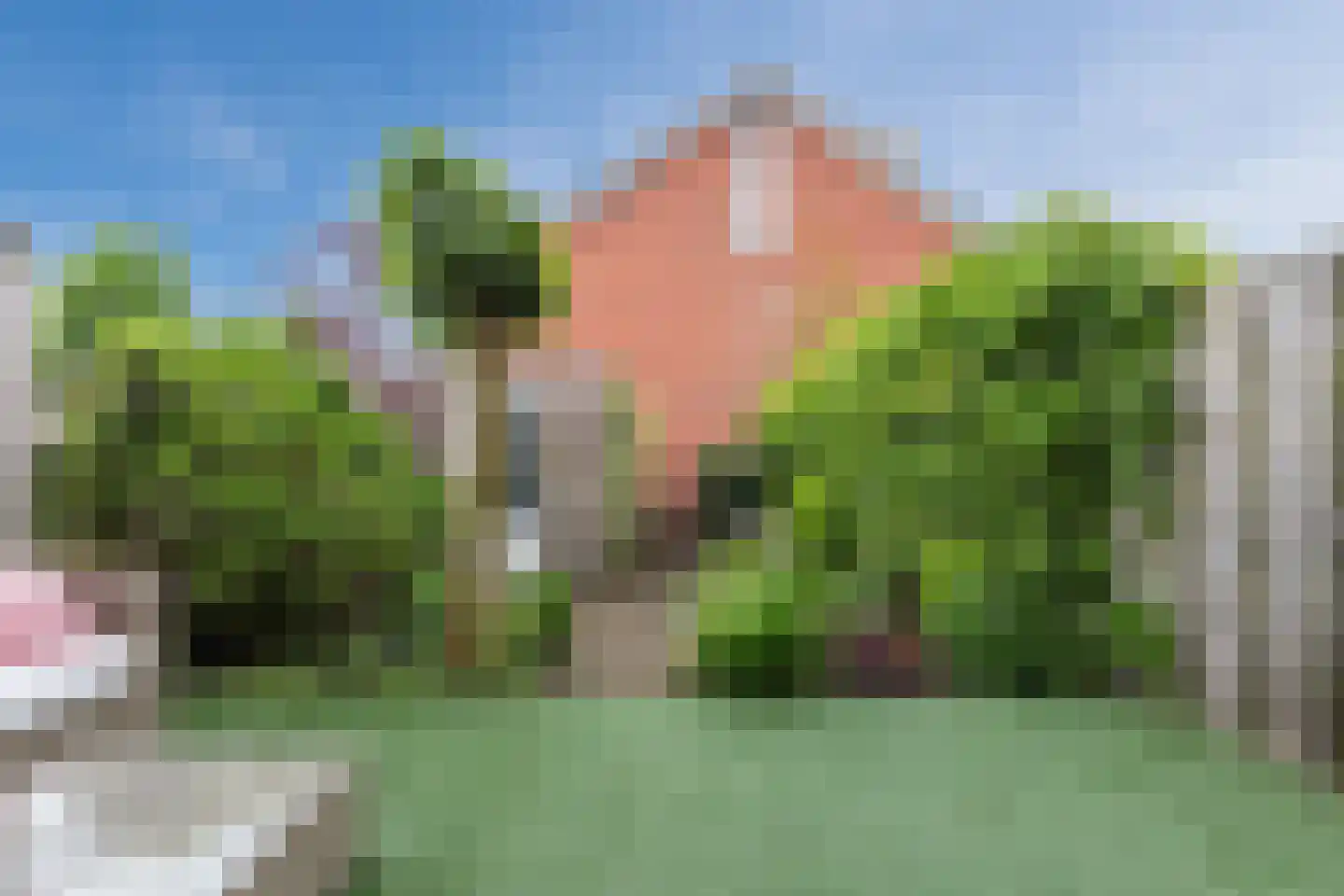 Nijmeegse Kapelstraat 4 Nijmegen thumbnail 26