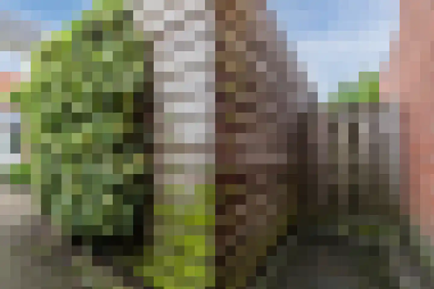 Nijmeegse Kapelstraat 4 Nijmegen thumbnail 27