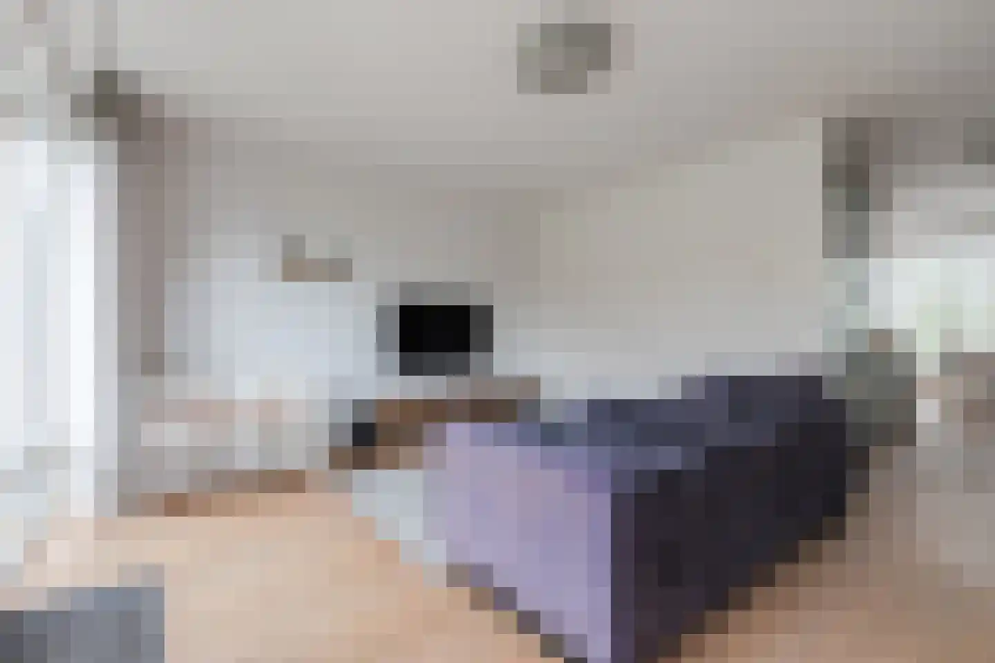 Nijmeegse Kapelstraat 4 Nijmegen thumbnail 7
