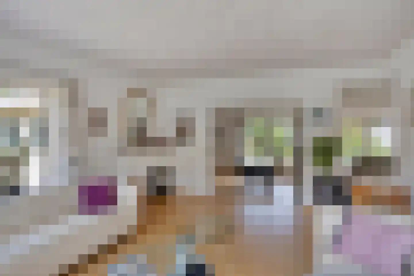 Nijmeegsebaan 120 Heilig Landstichting thumbnail 11