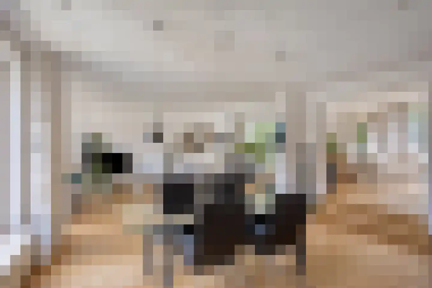 Nijmeegsebaan 120 Heilig Landstichting thumbnail 13