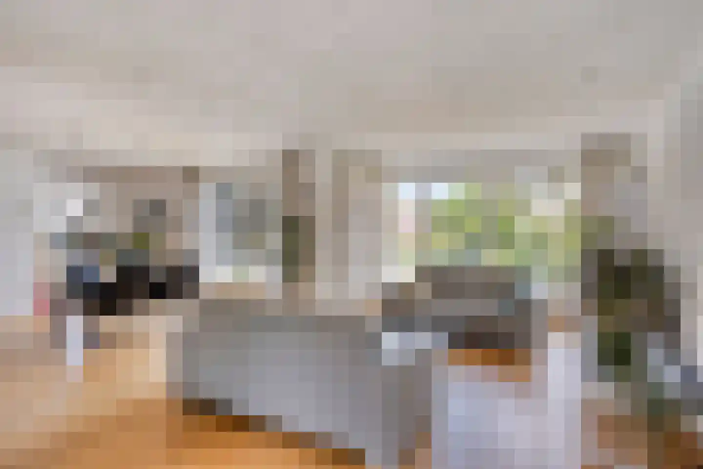 Nijmeegsebaan 120 Heilig Landstichting thumbnail 16