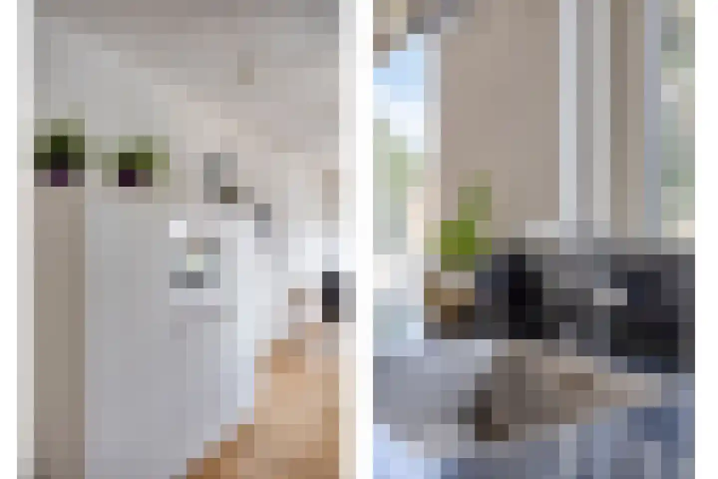 Nijmeegsebaan 120 Heilig Landstichting thumbnail 18