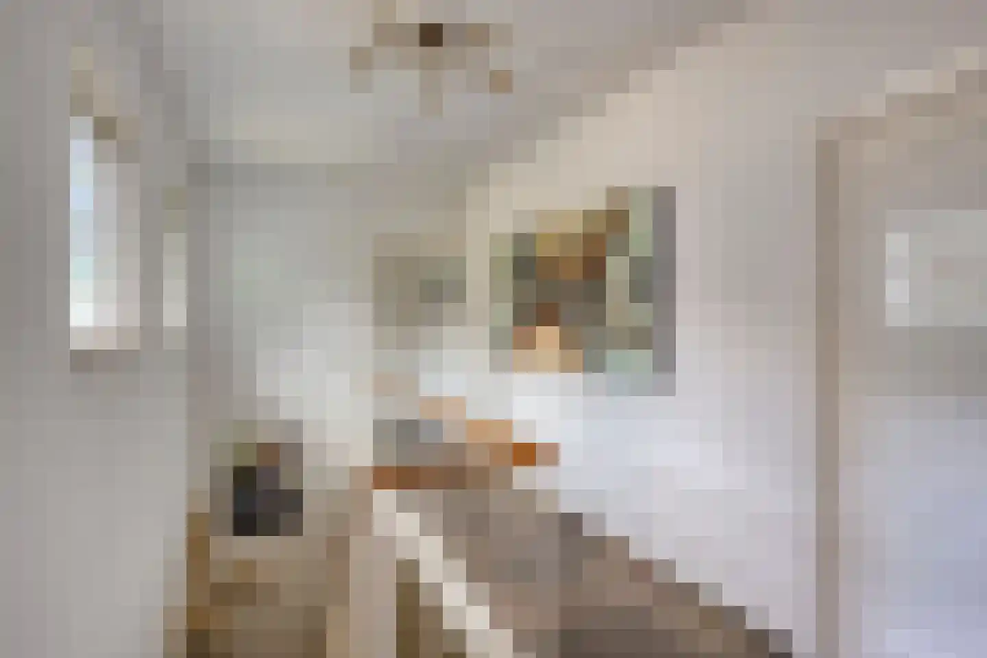 Nijmeegsebaan 120 Heilig Landstichting thumbnail 22