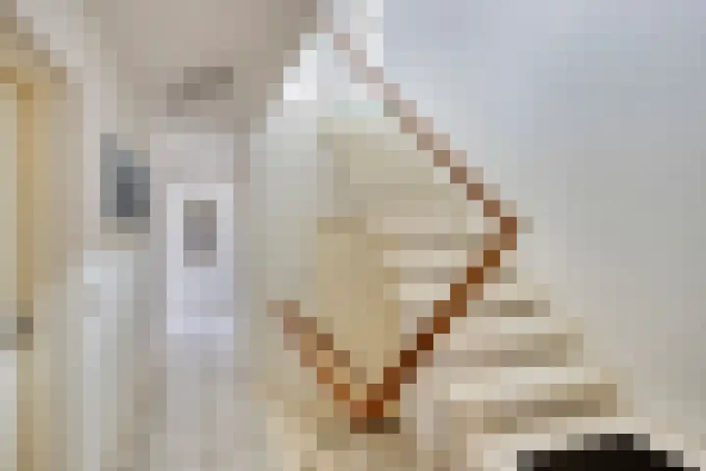 Nijmeegsebaan 120 Heilig Landstichting thumbnail 25