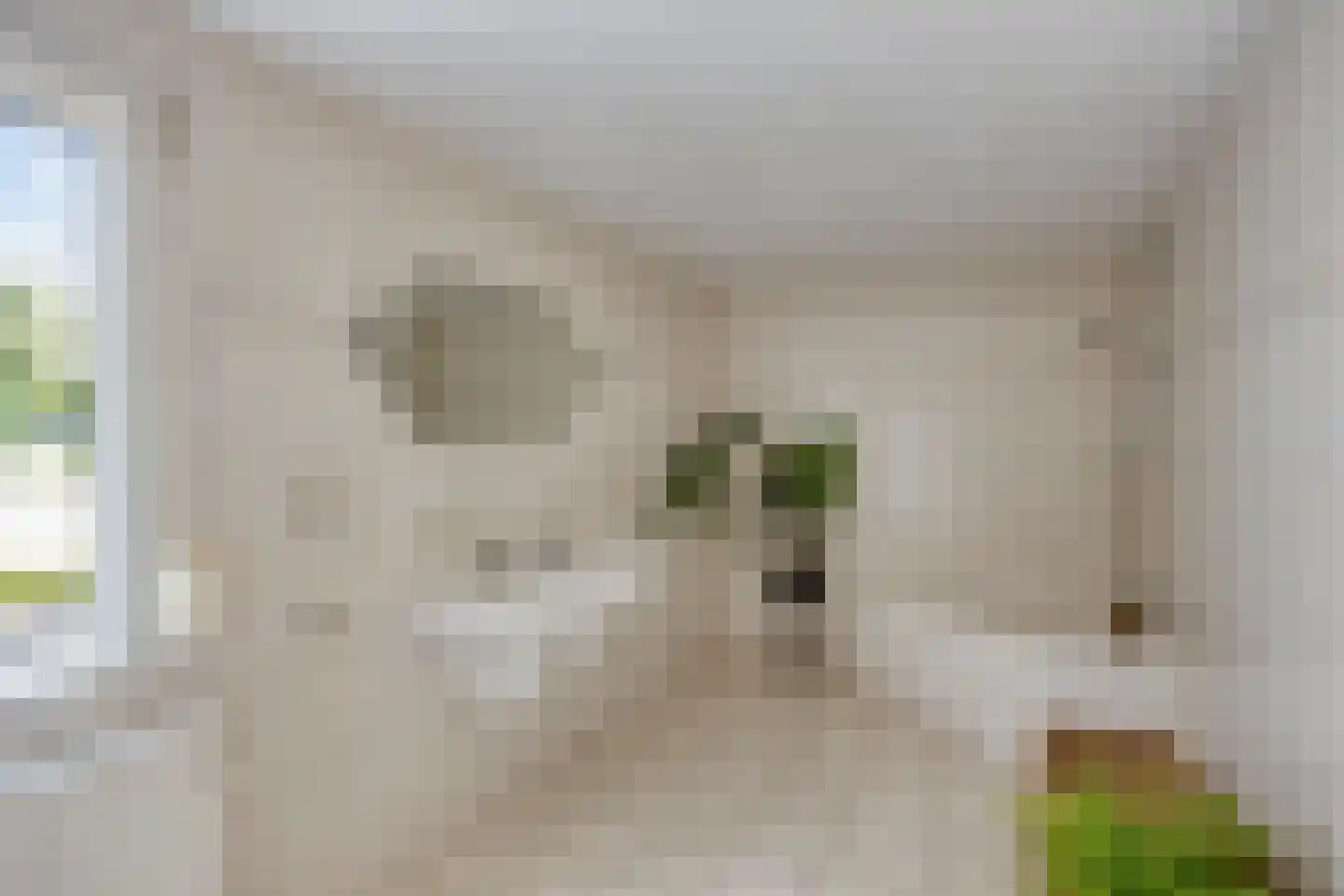 Nijmeegsebaan 120 Heilig Landstichting thumbnail 28