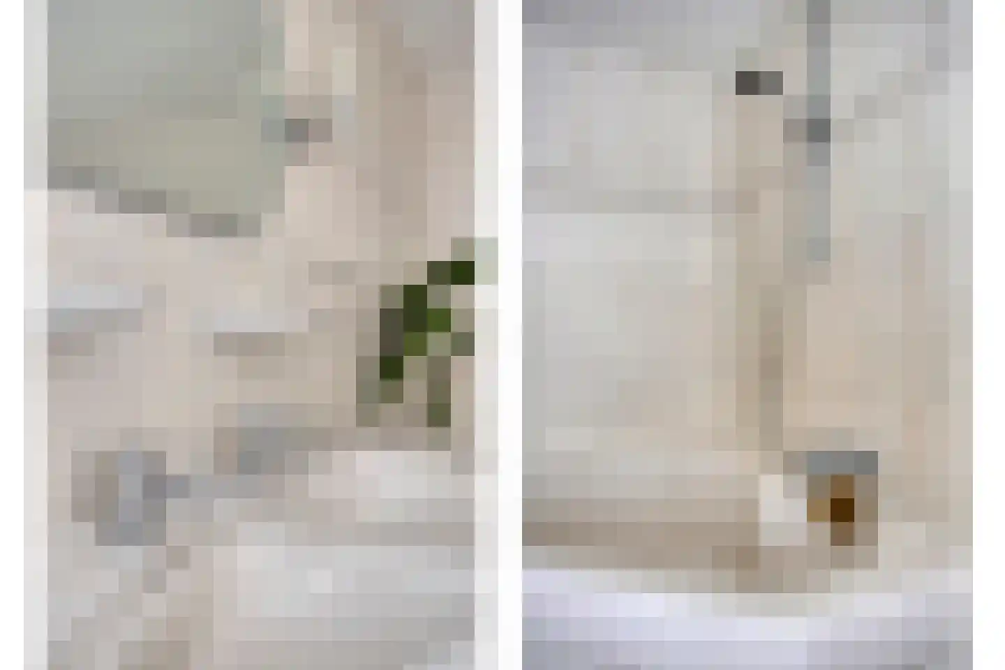 Nijmeegsebaan 120 Heilig Landstichting thumbnail 29