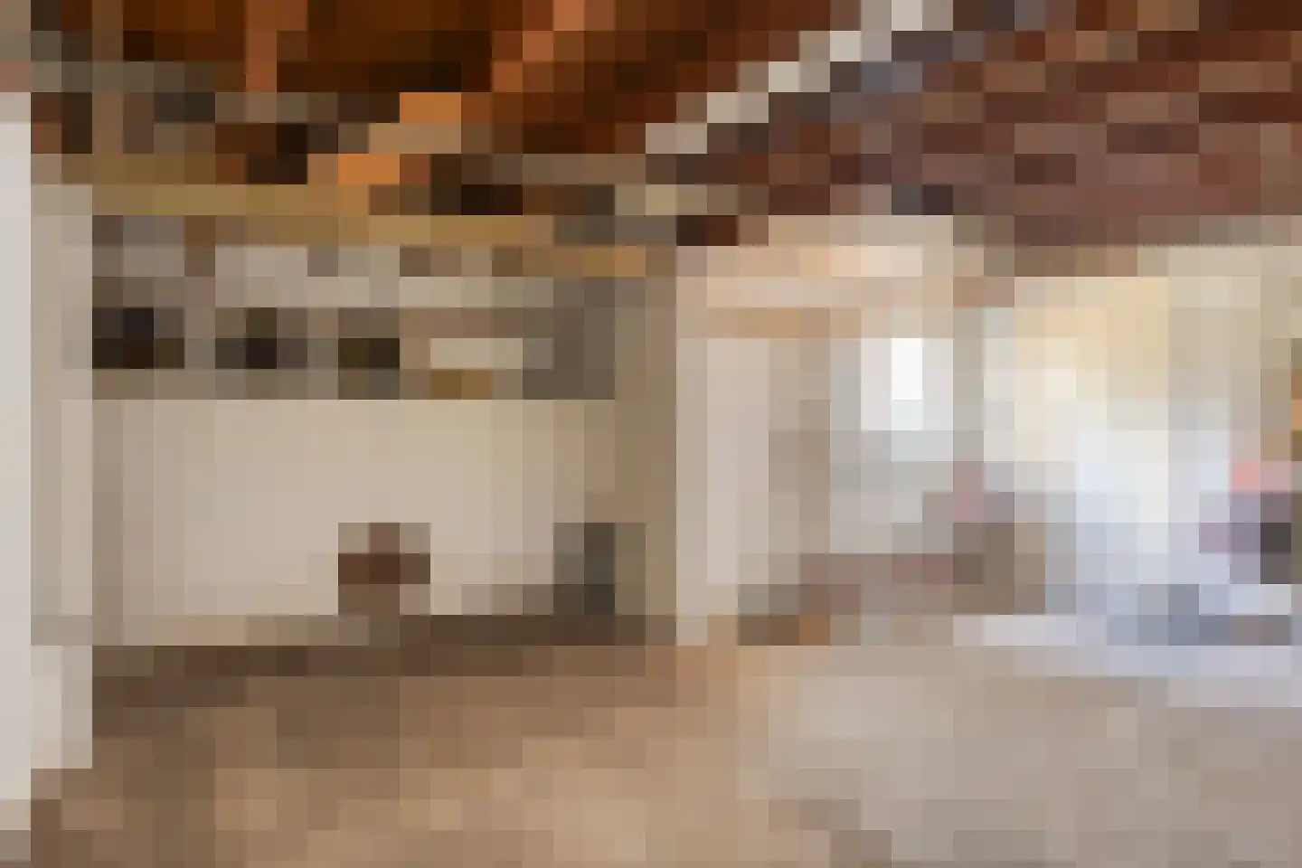 Nijmeegsebaan 120 Heilig Landstichting thumbnail 37