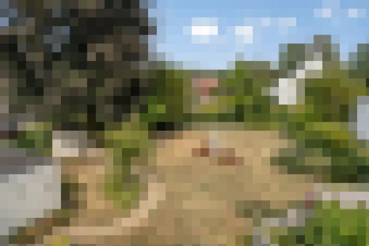 Nijmeegsebaan 120 Heilig Landstichting thumbnail 46