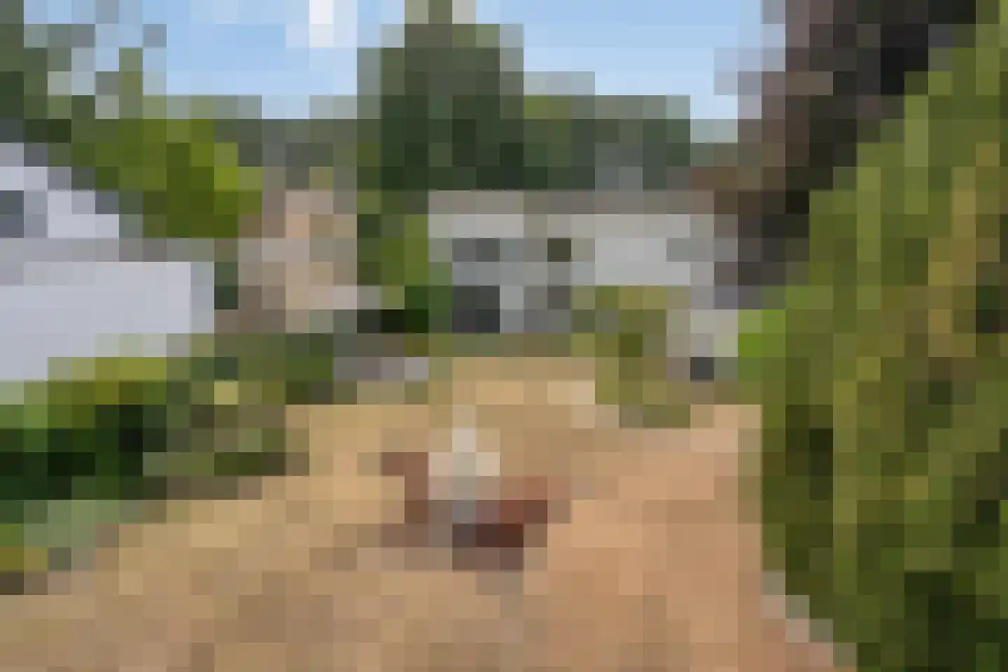 Nijmeegsebaan 120 Heilig Landstichting thumbnail 48