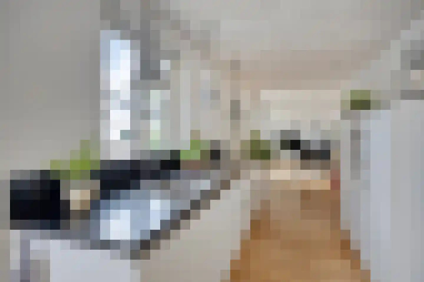 Nijmeegsebaan 120 Heilig Landstichting thumbnail 5