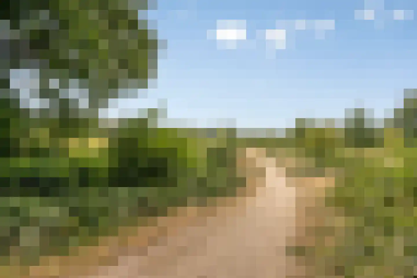 Nijmeegsebaan 120 Heilig Landstichting thumbnail 51