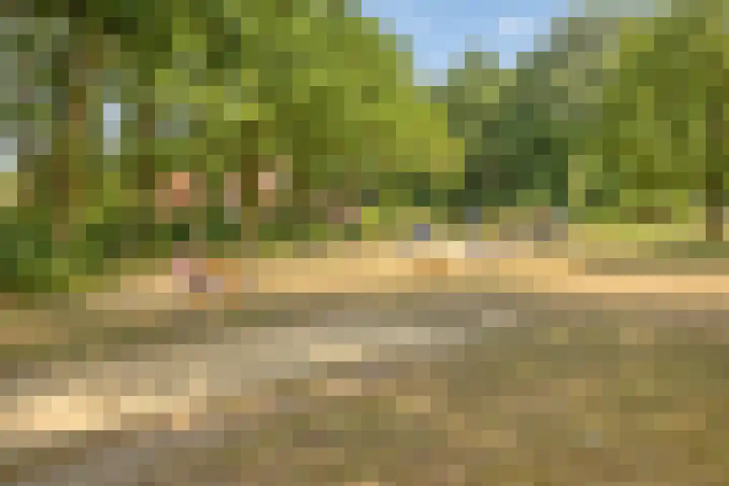 Nijmeegsebaan 120 Heilig Landstichting thumbnail 52