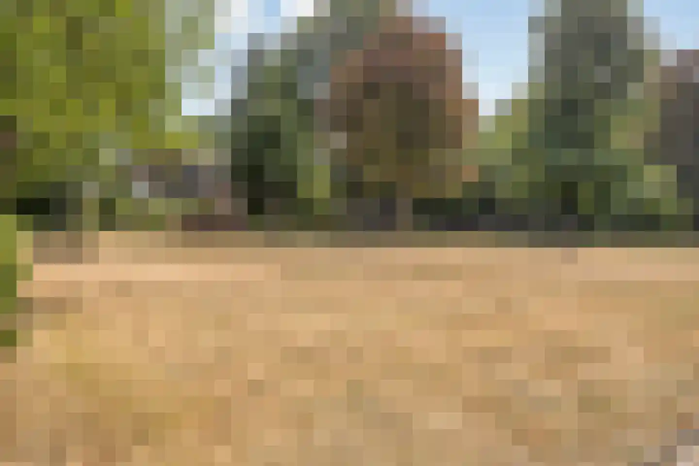 Nijmeegsebaan 120 Heilig Landstichting thumbnail 53