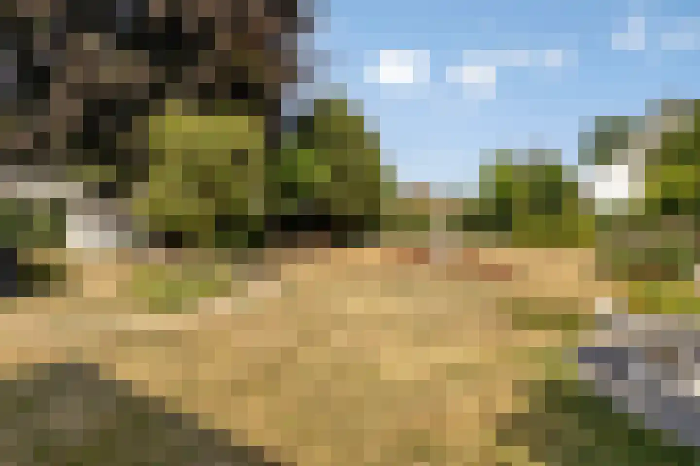 Nijmeegsebaan 120 Heilig Landstichting thumbnail 6