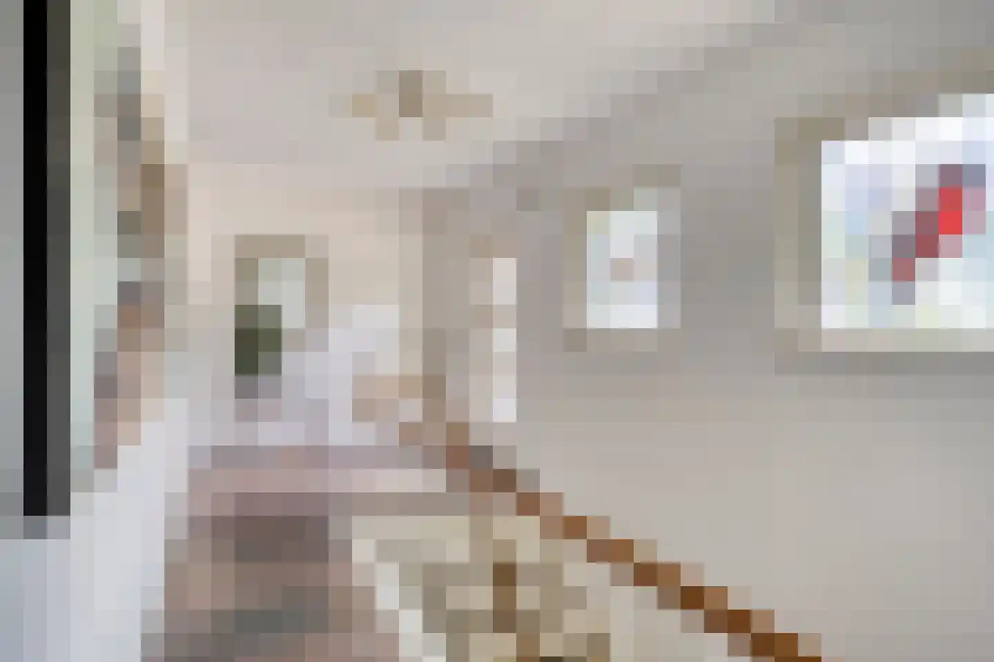 Nijmeegsebaan 120 Heilig Landstichting thumbnail 9