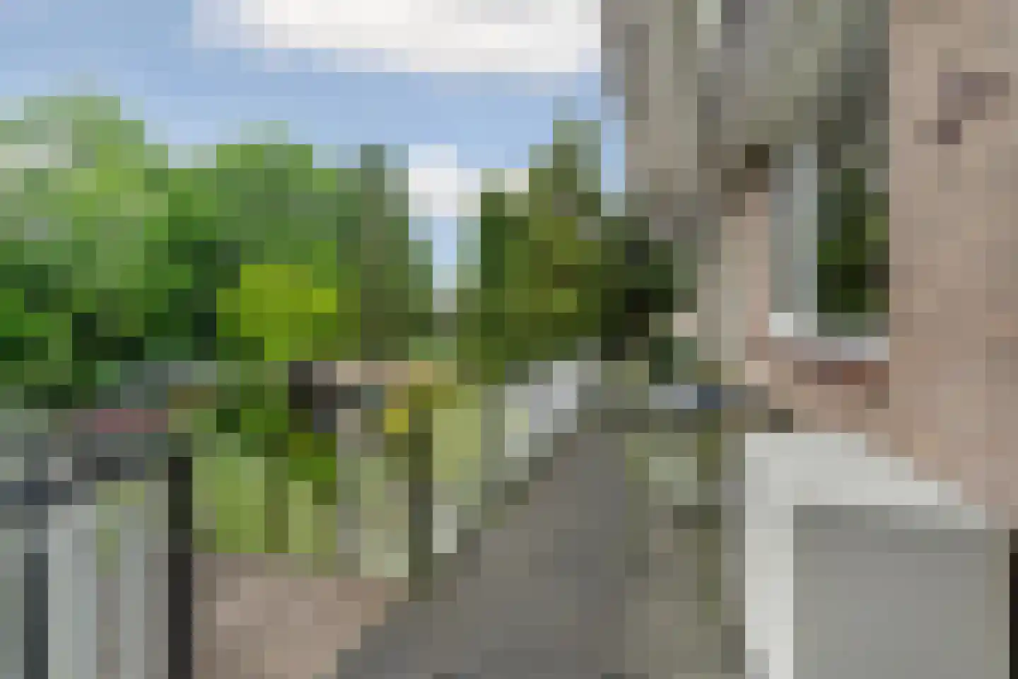 Nijmeegsebaan 130 Heilig Landstichting thumbnail 21
