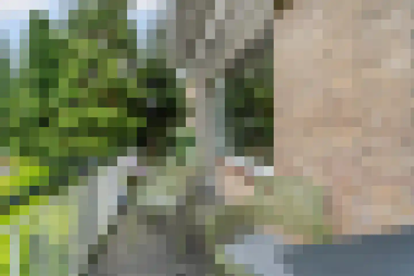 Nijmeegsebaan 130 Heilig Landstichting thumbnail 22