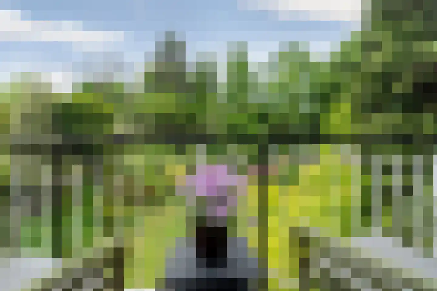 Nijmeegsebaan 130 Heilig Landstichting thumbnail 23