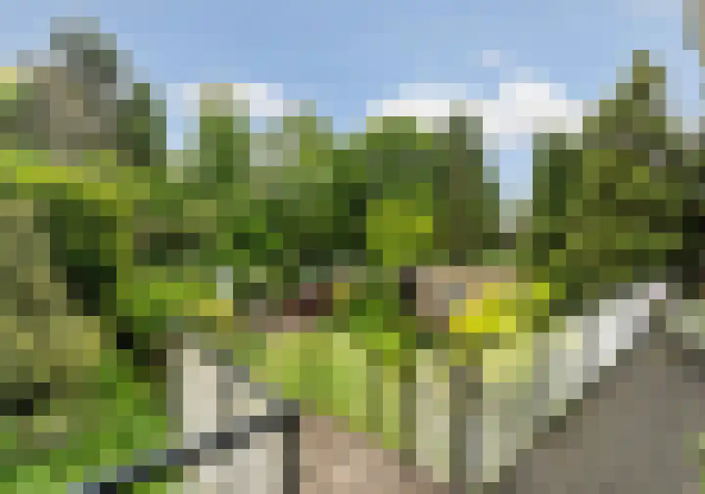 Nijmeegsebaan 130 Heilig Landstichting thumbnail 24