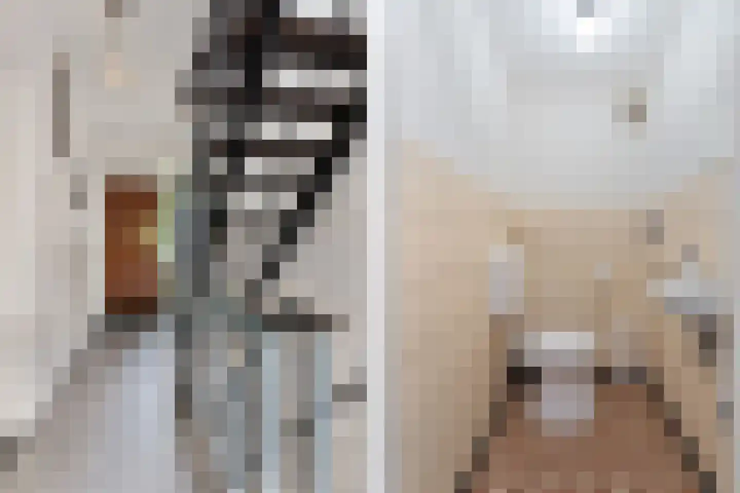 Nijmeegsebaan 130 Heilig Landstichting thumbnail 27