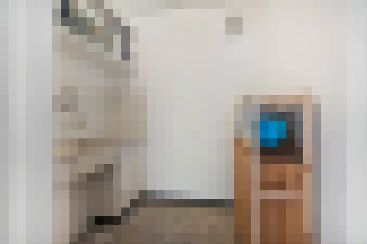 Nijmeegsebaan 130 Heilig Landstichting thumbnail 32