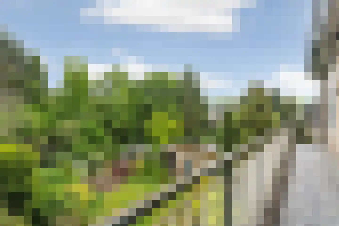 Nijmeegsebaan 130 Heilig Landstichting thumbnail 39