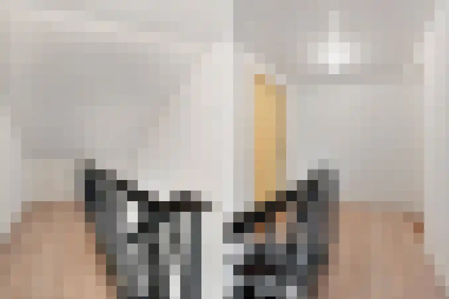Nijmeegsebaan 130 Heilig Landstichting thumbnail 51